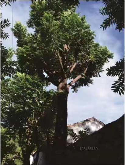 1680502927032.png