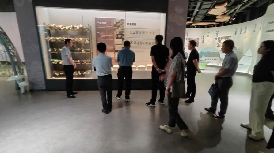 京西生态公司赴浙江省衢州市开展调研学习
